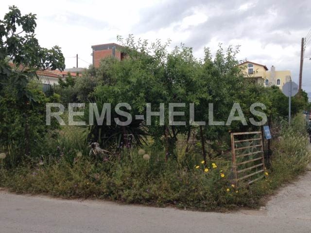 (For Sale) Land Plot  for development || East Attica/Paiania - 399,00Sq.m, 350.000€ 