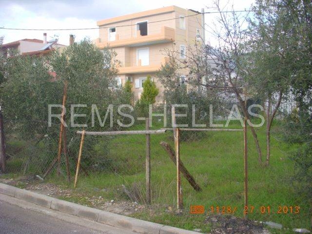 Οικόπεδο εντός σχεδίου || Ανατολική Αττική/Αχαρνές-Μενίδι - ΕΥΚΑΙΡΙΑ 