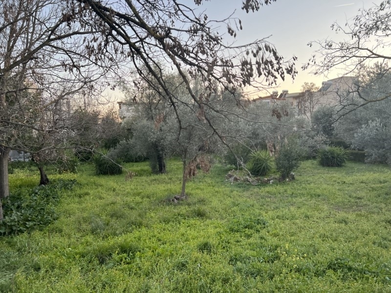 (Verkauf) Nutzbares Land Innerhalb des Flächennutzungsplans || Athens North/Kifissia - 607 m², 600.000€ 