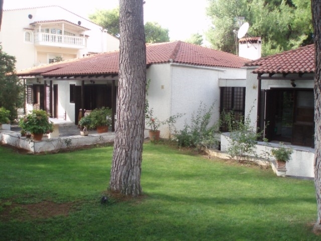 One level house with garden 
