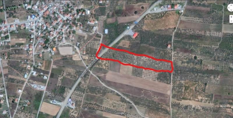 excellent plot 24000 sqm of land with 500 olive trees 
