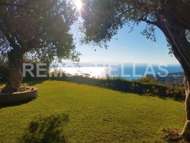Evia - Amarynthos detached house in 4200sqm plot with sea view 